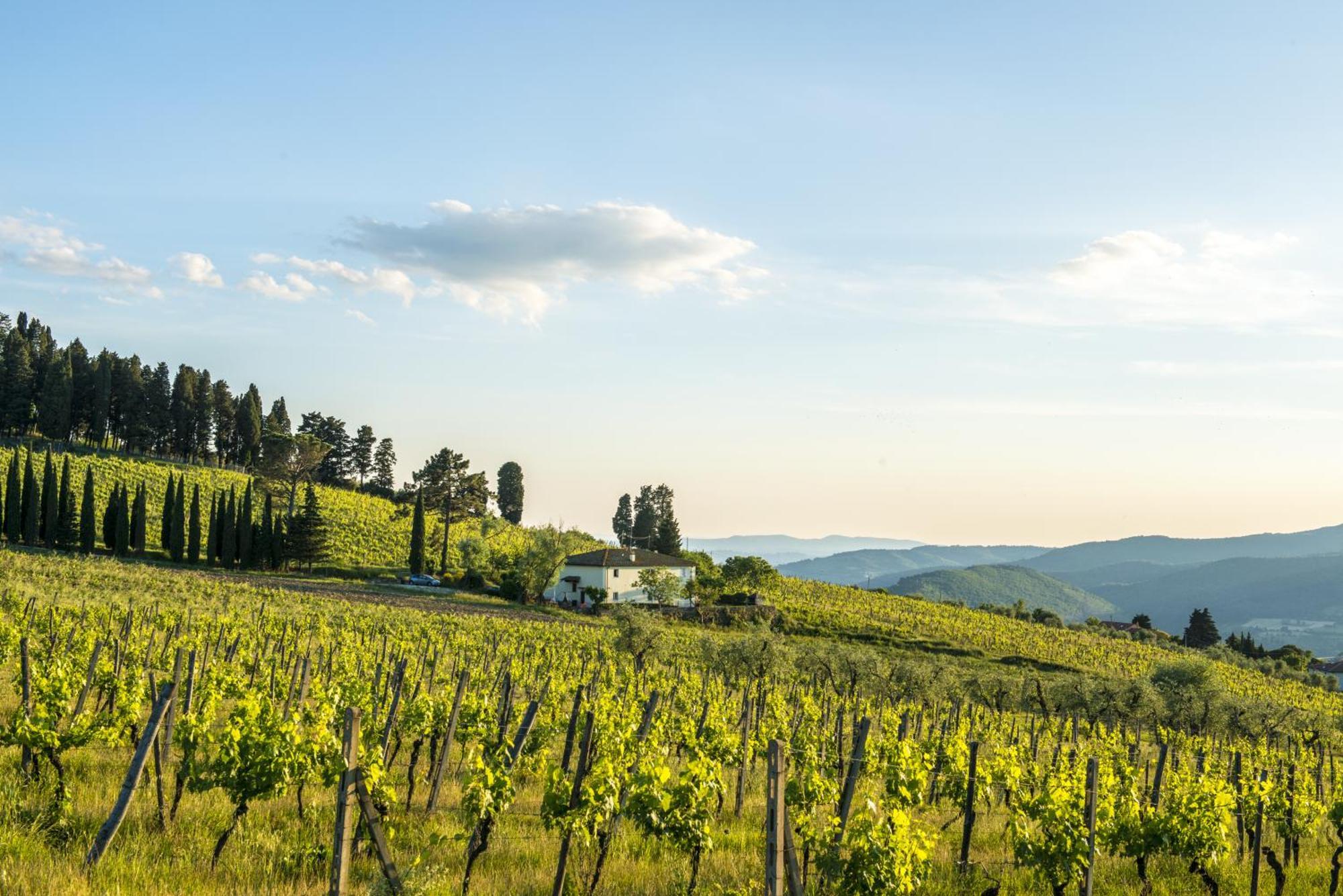 Agriturismo Fattoria Lavacchio Pontassieve Δωμάτιο φωτογραφία