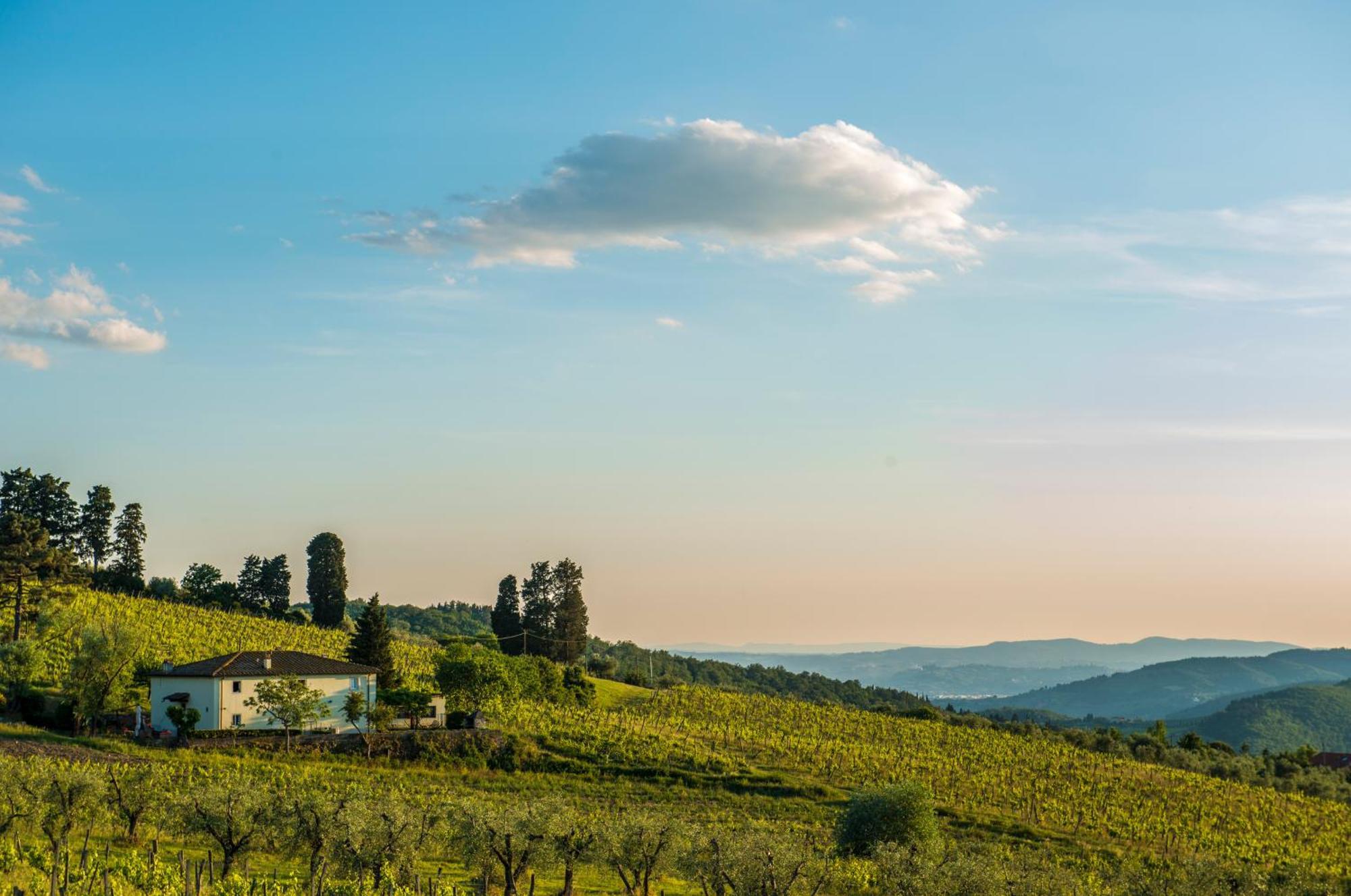 Agriturismo Fattoria Lavacchio Pontassieve Δωμάτιο φωτογραφία