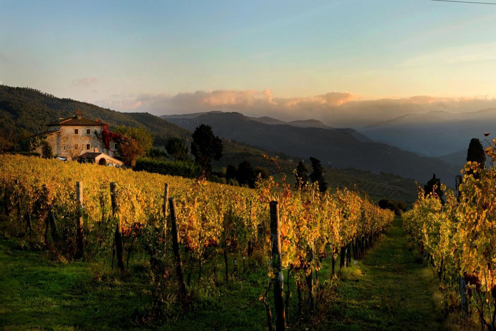 Agriturismo Fattoria Lavacchio Pontassieve Εξωτερικό φωτογραφία